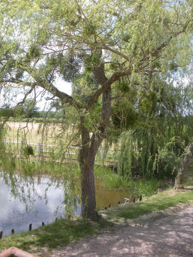 مبيت وإفطار Montbeugny Le Domaine Du Mijarnier المظهر الخارجي الصورة