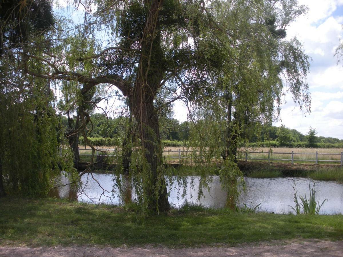 مبيت وإفطار Montbeugny Le Domaine Du Mijarnier المظهر الخارجي الصورة