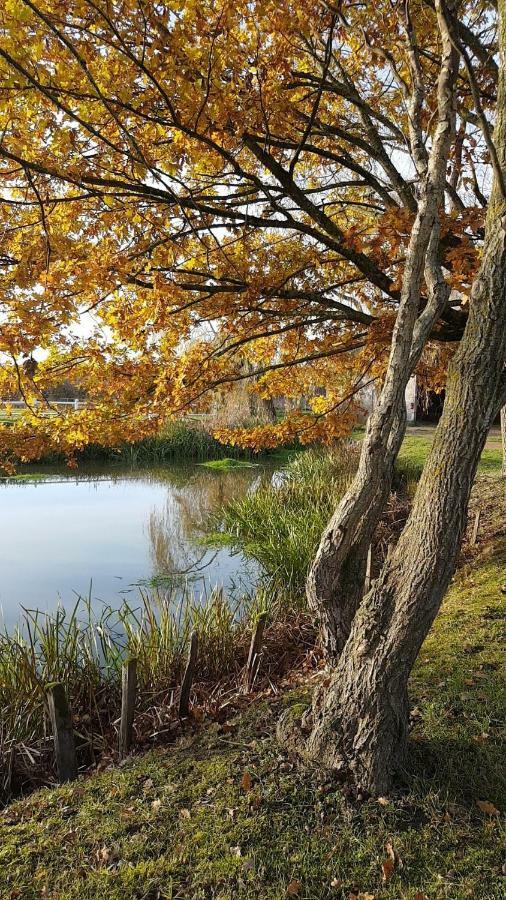 مبيت وإفطار Montbeugny Le Domaine Du Mijarnier المظهر الخارجي الصورة